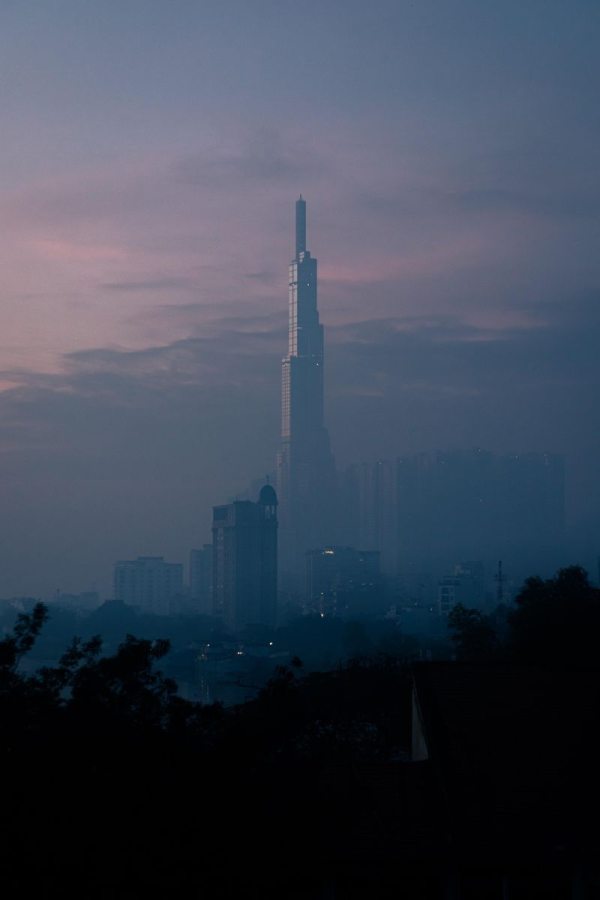 和平精英职业联赛